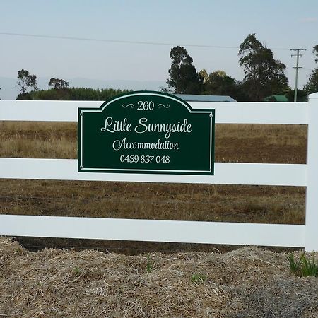 Little Sunnyside Accommodation Hagley Exterior photo